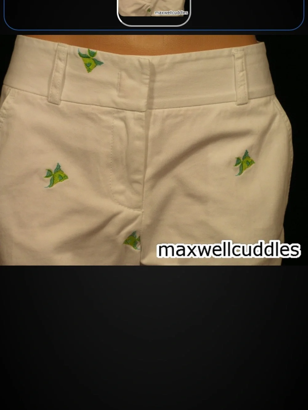 J CREW CROPPED WHITE CHINOS ANGELFISH CRITTER New With Tags Size 0